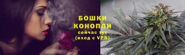 трава Гусев