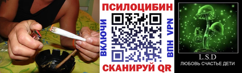 Купить закладки  Похвистнево  Галлюциногенные грибы Psilocybe 